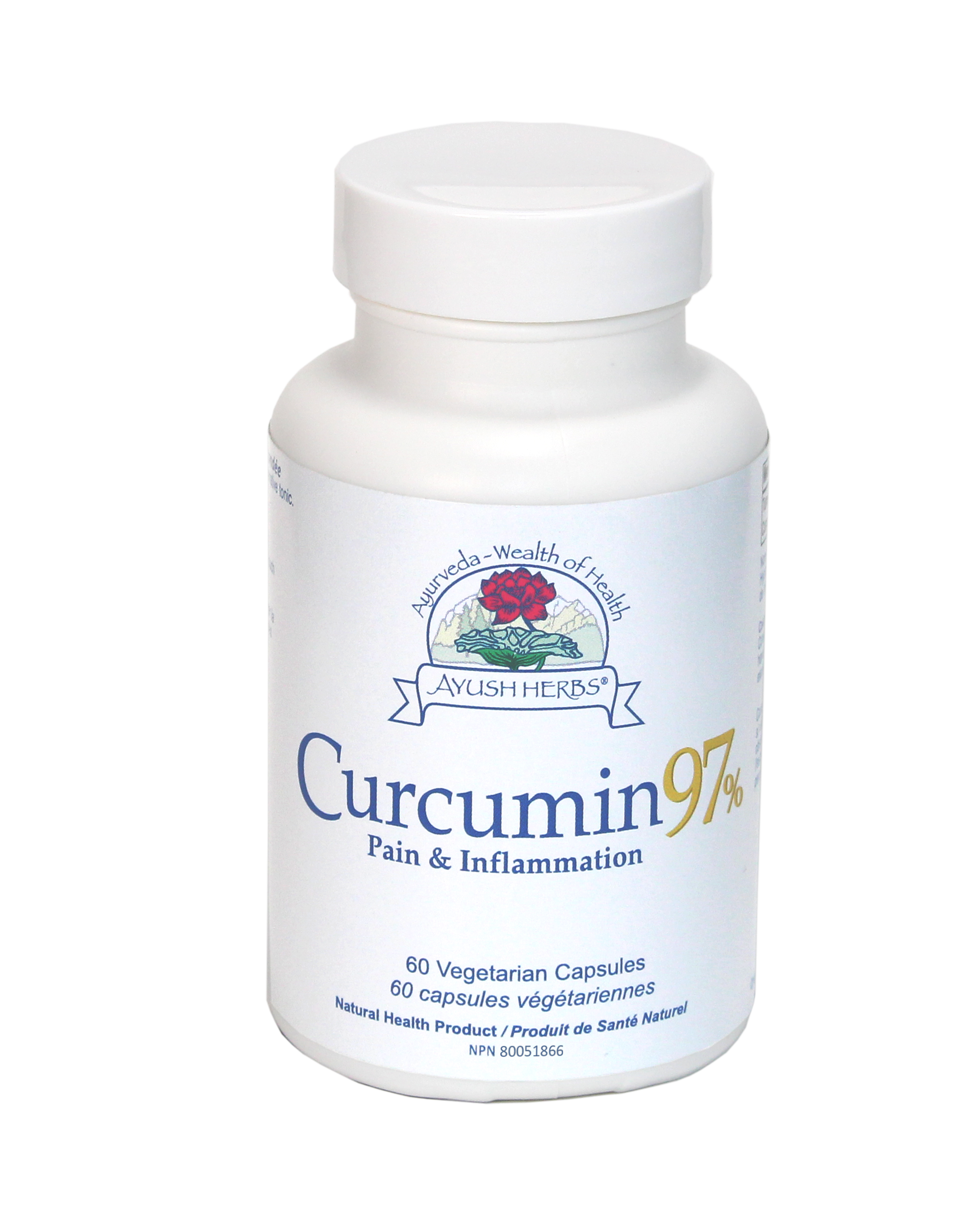 Curcumin 97% (60) | Aarbee Natural Wellness Store